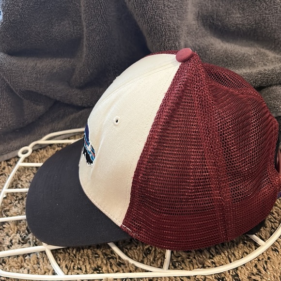 Fitz Roy Bison Patagonia Trucker Hat navy burgundy snap back - Picture 2 of 4